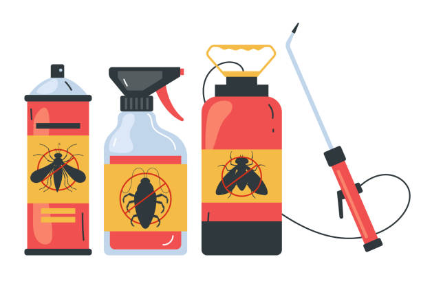 Best Rat Extermination Near Me  in Lakewood, WA