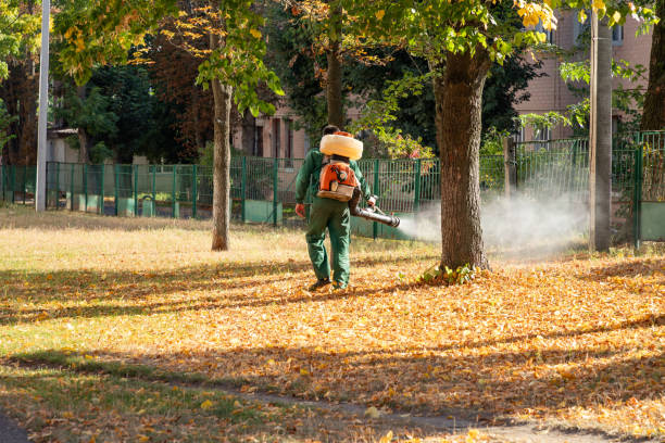 Best Wasp Removal Services  in Lakewood, WA
